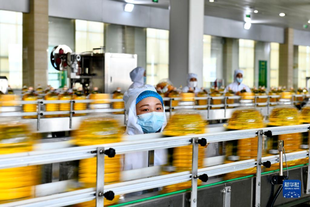 mg网上游戏